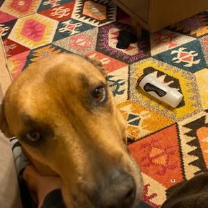 Meet your Posher, Margarita